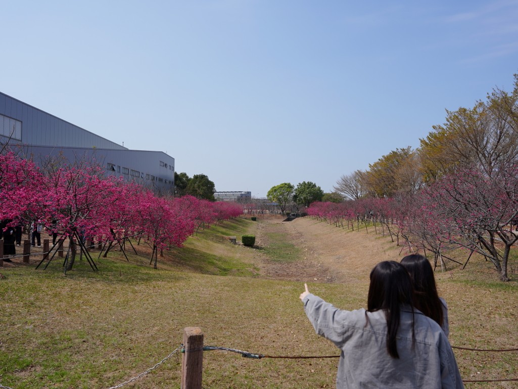 崴立機電櫻花公園入口