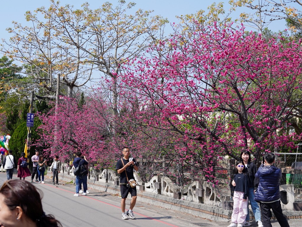 私人櫻花園