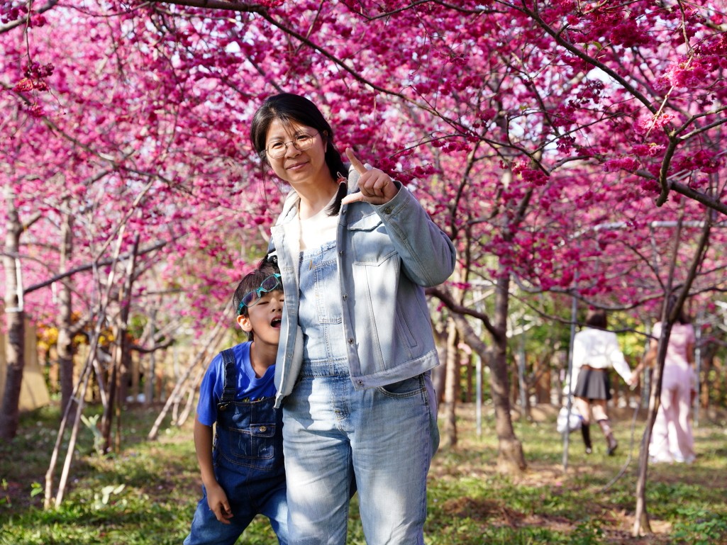私人櫻花園