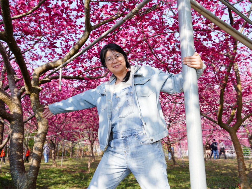 賞花人潮