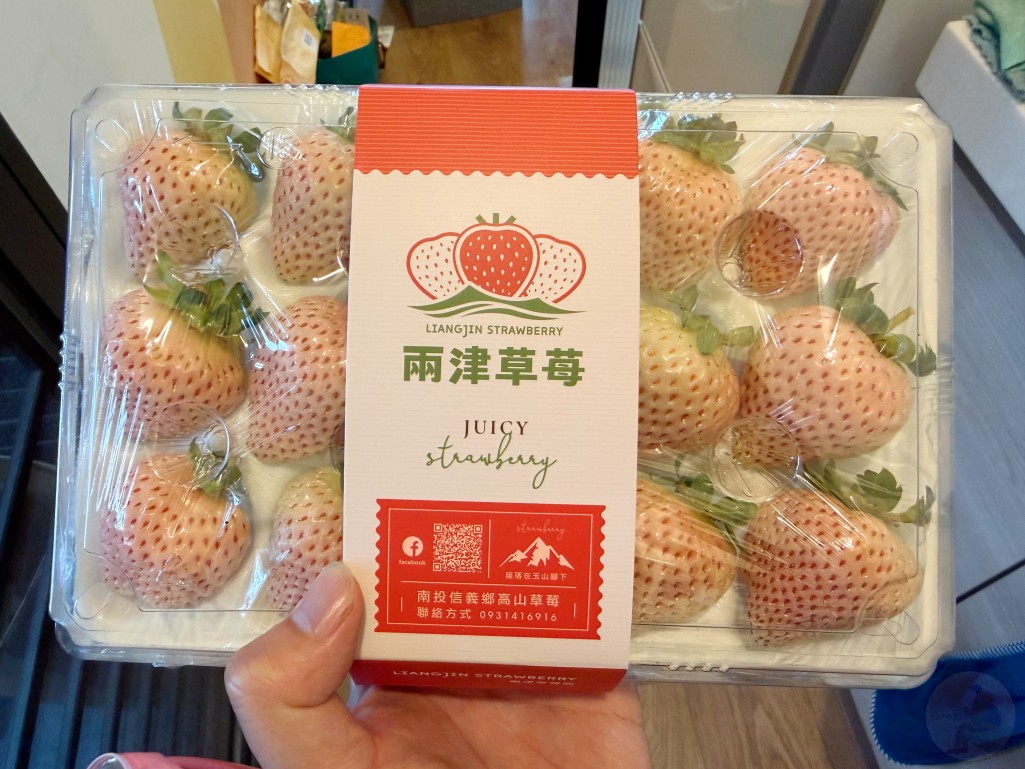 草坪頭櫻花季,兩津草莓園,草坪頭-兩津草莓園,草坪頭草莓,草坪頭摘草莓,草坪頭採草莓,草莓冰淇淋2026草坪頭櫻花季, 兩津草莓園, 美姬草莓, 天使白草莓, 草坪頭美食 草坪頭櫻花季,兩津草莓園,草坪頭-兩津草莓園,草坪頭草莓,草坪頭摘草莓,草坪頭採草莓,草莓冰淇淋2026草坪頭櫻花季, 兩津草莓園, 美姬草莓, 天使白草莓, 草坪頭美食