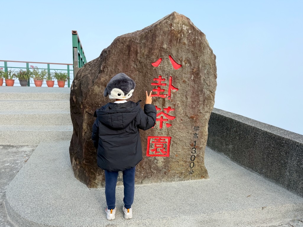 八卦茶園全景
