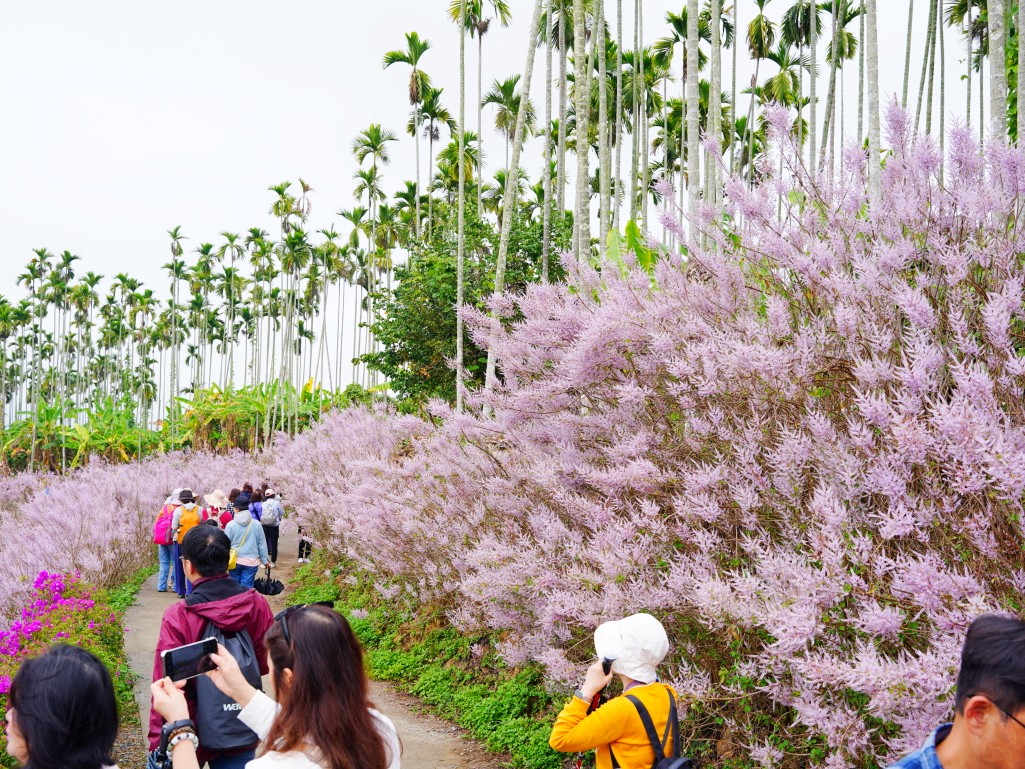 入園時蓋在手上的專屬入園確認印章