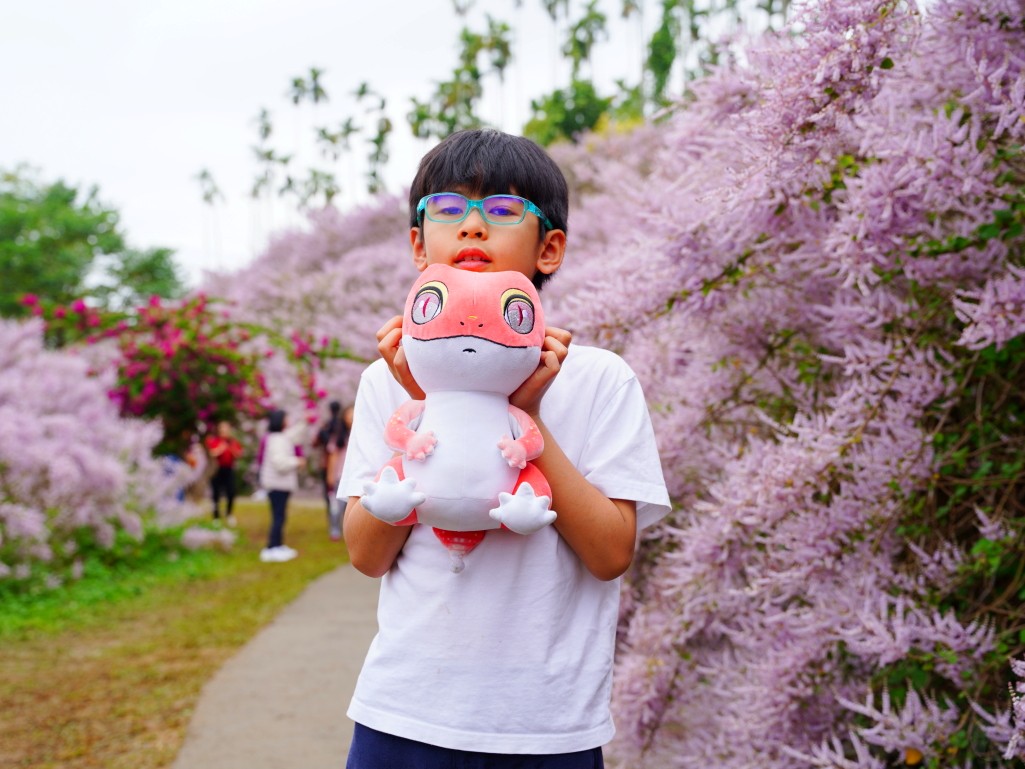 網美花海特寫鏡頭三