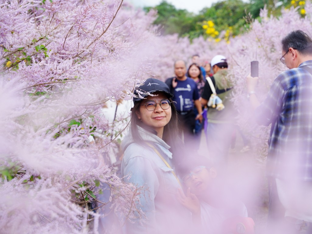 網美花海特寫鏡頭二