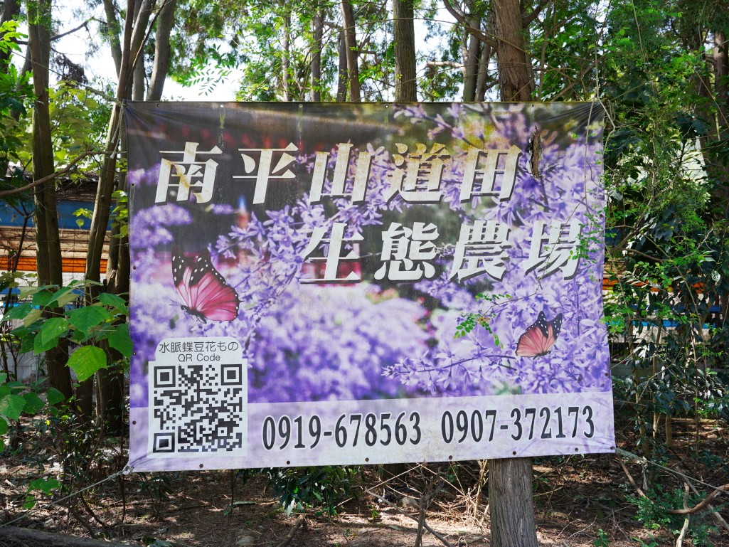南平山道田生態有機農場入園預約與溫室玫瑰花海