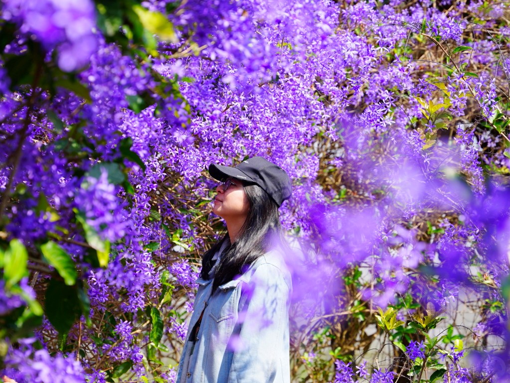 農場內充滿生機盎然的健康綠色植物