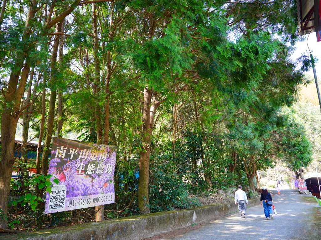 南投埔里南平山道田生態有機農場入口與周邊停車指示