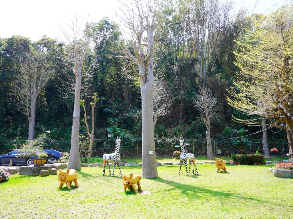 建築周圍綠意盎然的五葉松與植栽