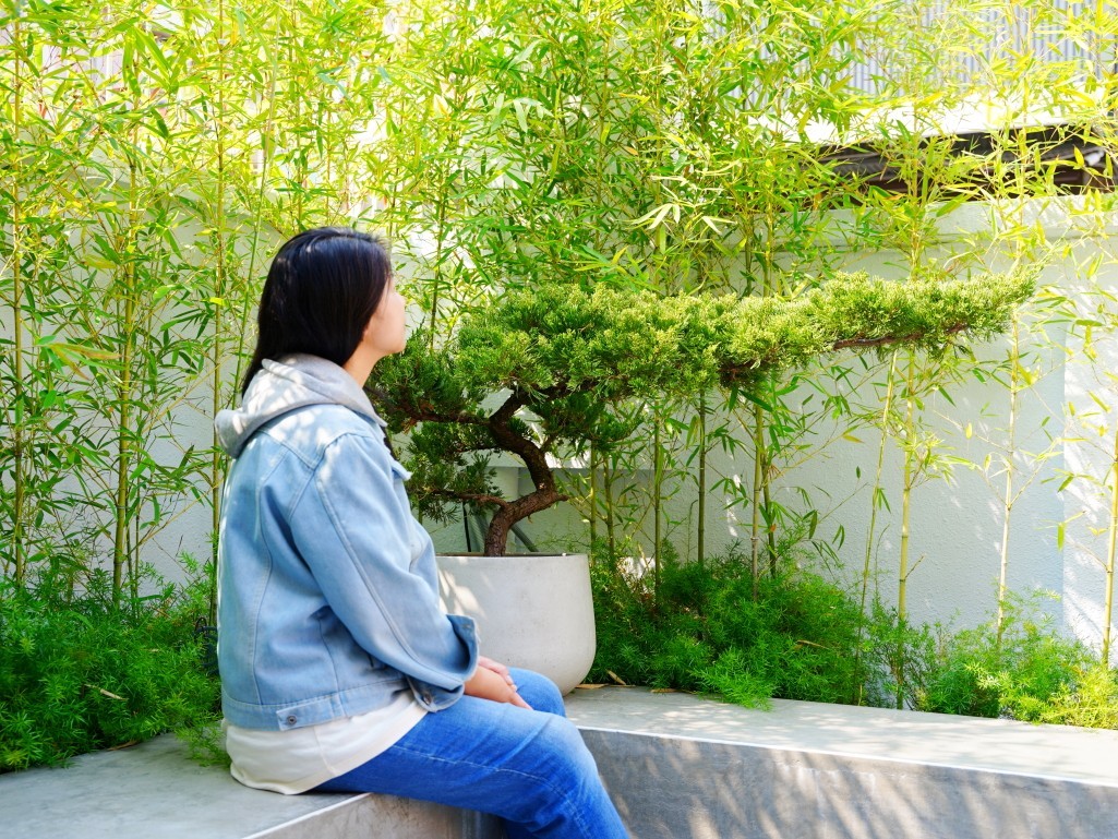 寿司韻巷弄街景與日式植栽造景