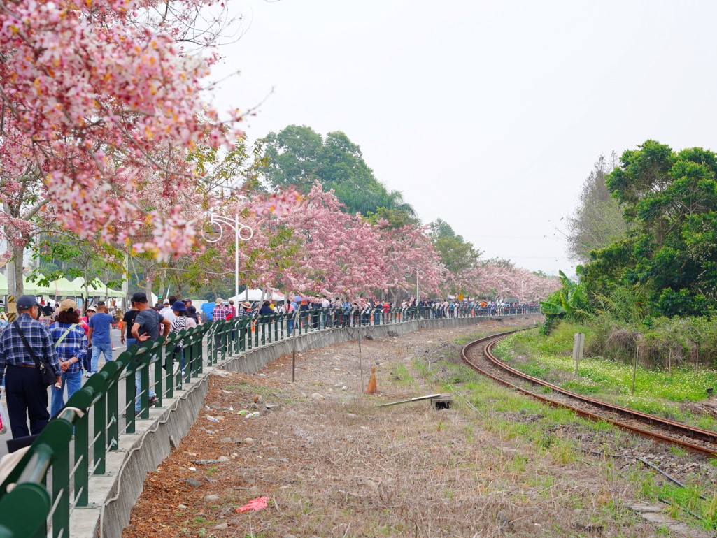 充滿層次感的鐵道彎道拍攝點