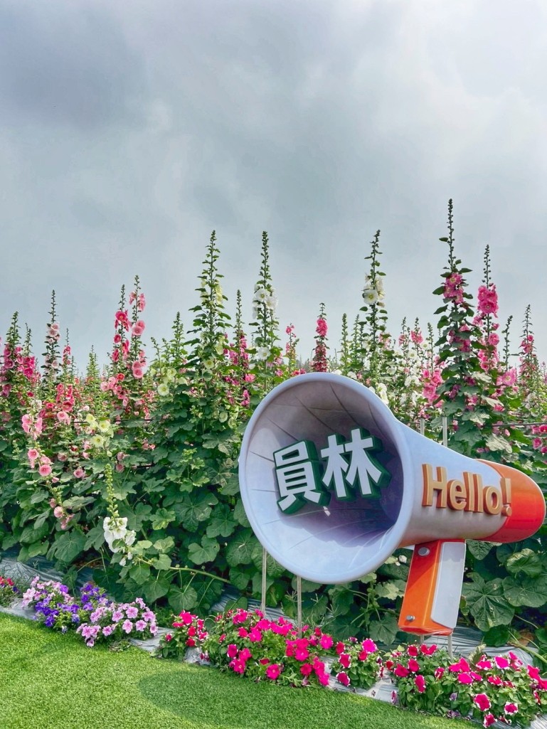 2026員林蜀葵花季, 彰化蜀葵花海, 員林景點推薦, 員林南區公園蜀葵花, 大明里活動中心, 彰化一日遊, 一丈紅花海, 員林親子景點, 蜀葵花期
