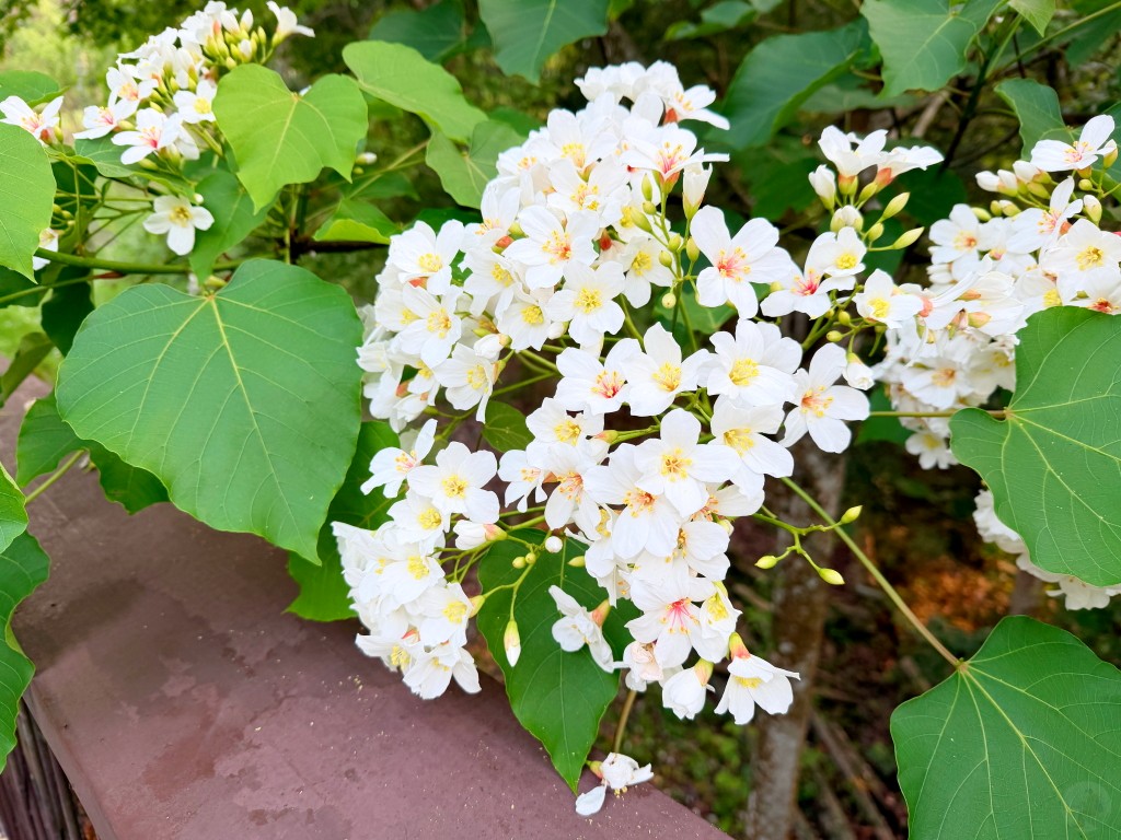 愷愷在體能訓練區開心玩樂