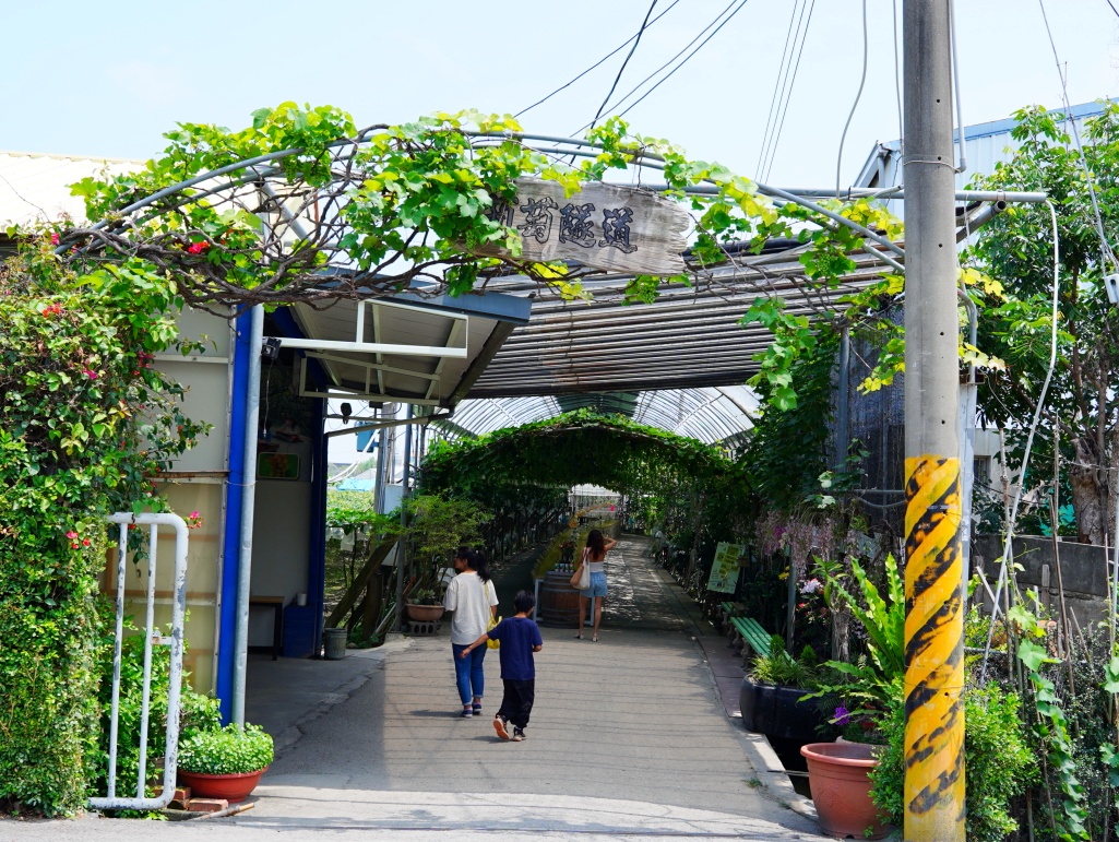 彰化路葡萄隧道, 路葡萄酒莊, 彰化埔心景點, 路葡萄隧道休閒農場, 彰化葡萄莊園推薦, 蜜紅葡萄, 葡萄冰淇淋, 全台最美葡萄隧道, 彰化親子景點, 2026彰化旅遊