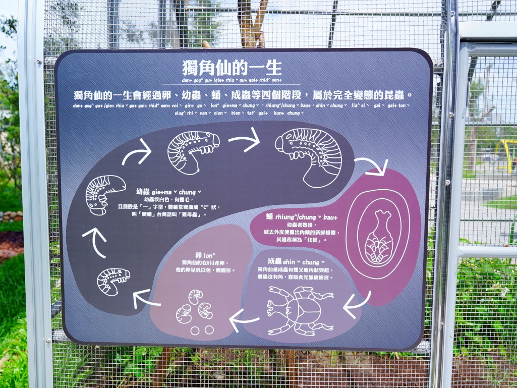 獨角仙撫育區與光蠟樹指示牌