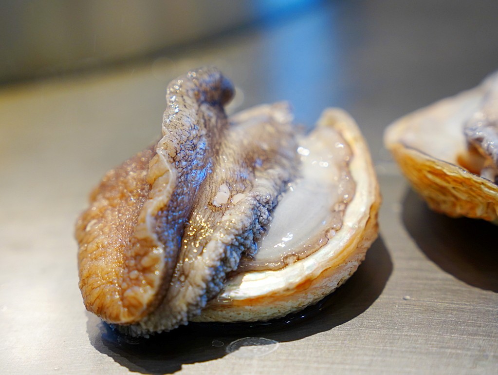 南非活鮑魚