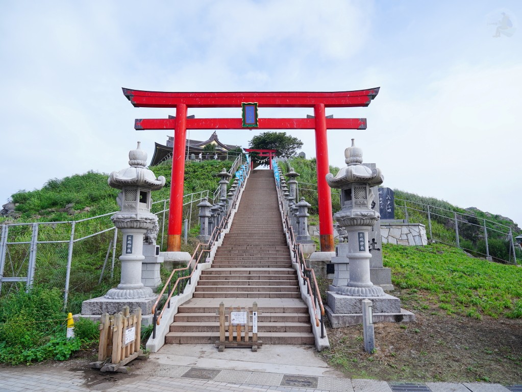 蕪島步道旁的黑尾鷗繁殖地解說牌