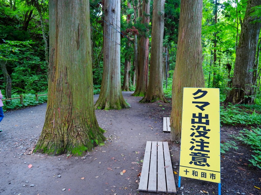 十和田湖步道旁的熊出沒警告招牌