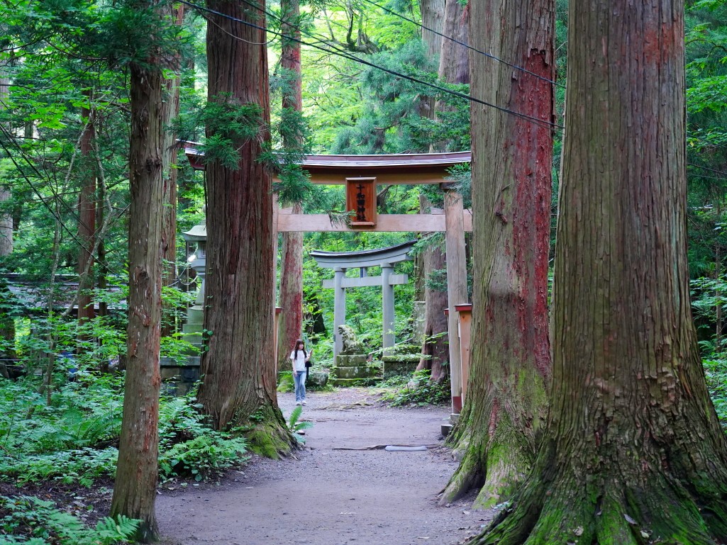 十和田神社木造的二之鳥居